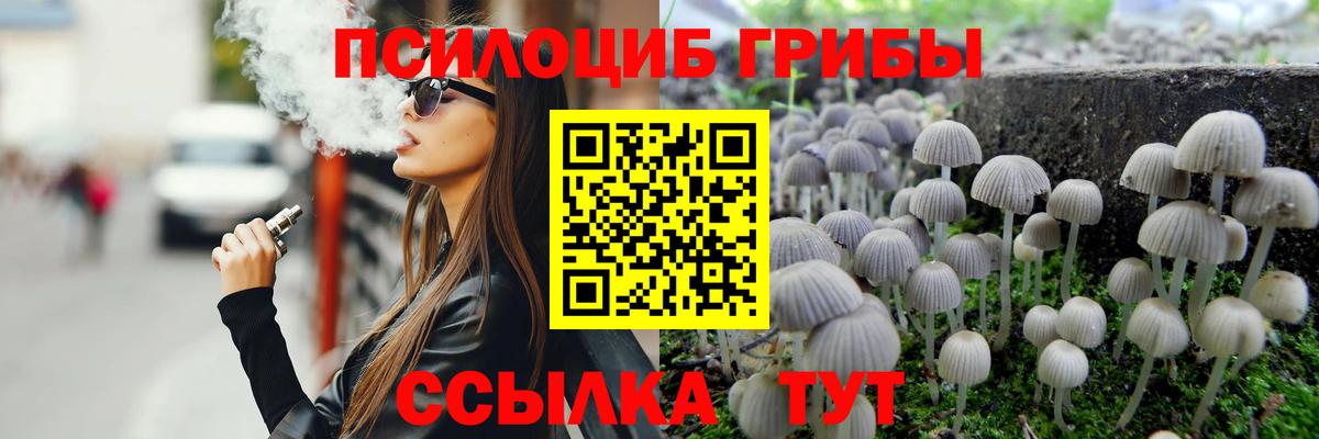 Протвино  Псилоцибиновые грибы MAGIC MUSHROOMS  сколько стоит  Вход с VPN  Псилоцибиновые грибы GOLDEN TEACHER 